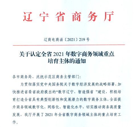 彩虹多多官网信息荣获2021年辽宁省数字商务领军企业